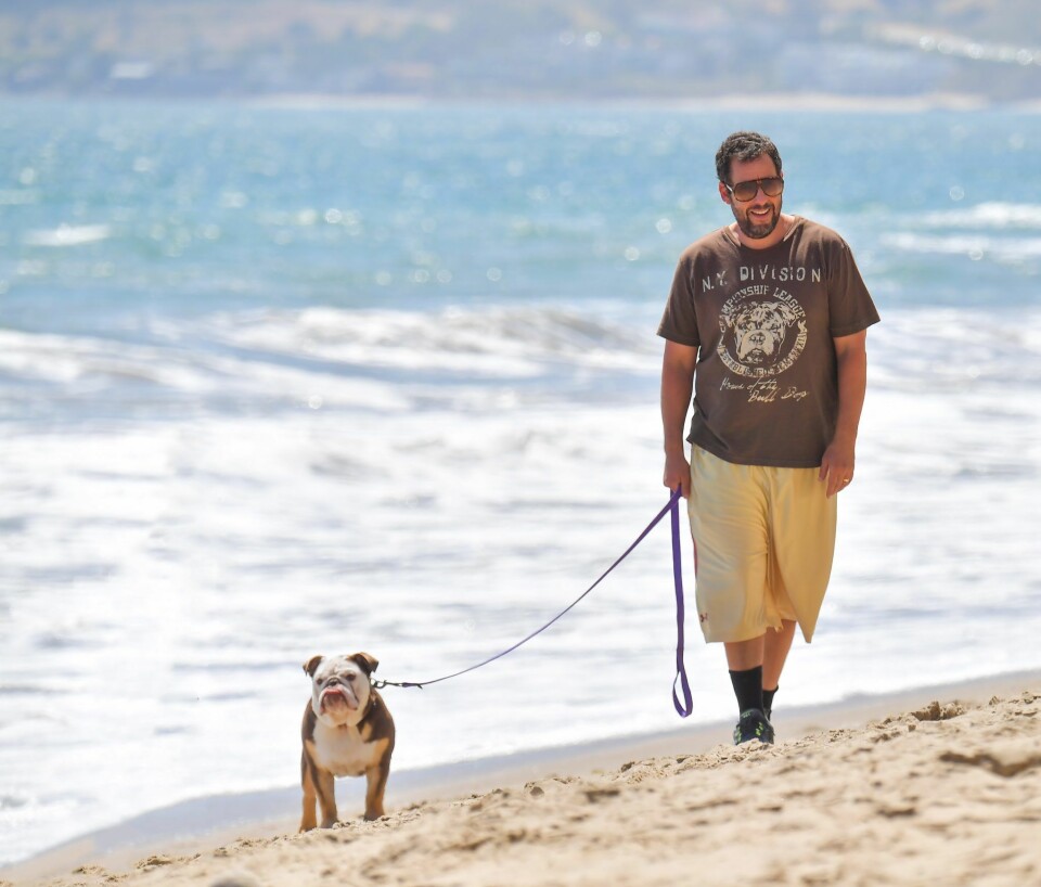 En dag på stranden för Adam Sandler och Meatball. En dag på stranden för Adam Sandler och Meatball.