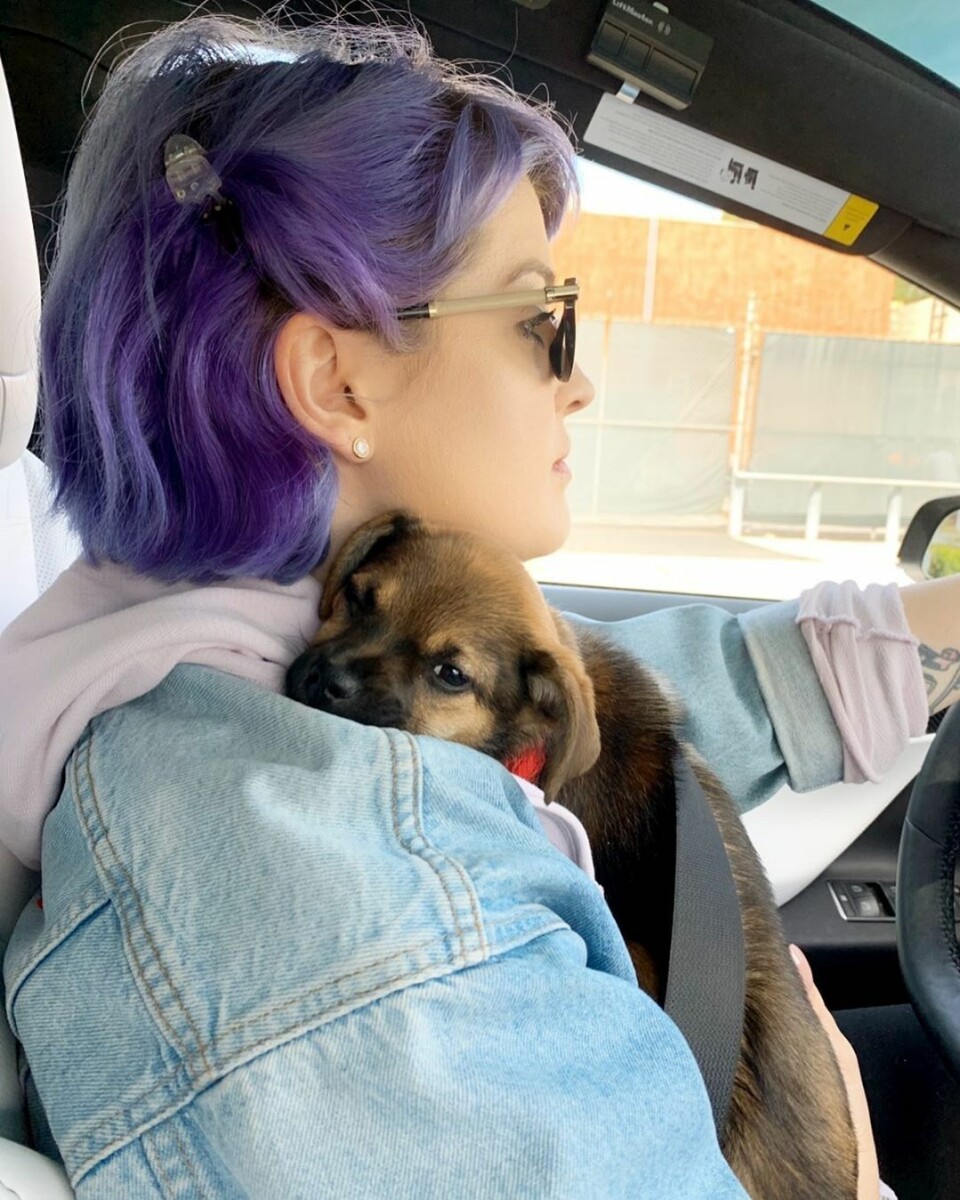 Kelly Osbourne och Oat myser ihop. Kelly Osbourne och Oat myser ihop.