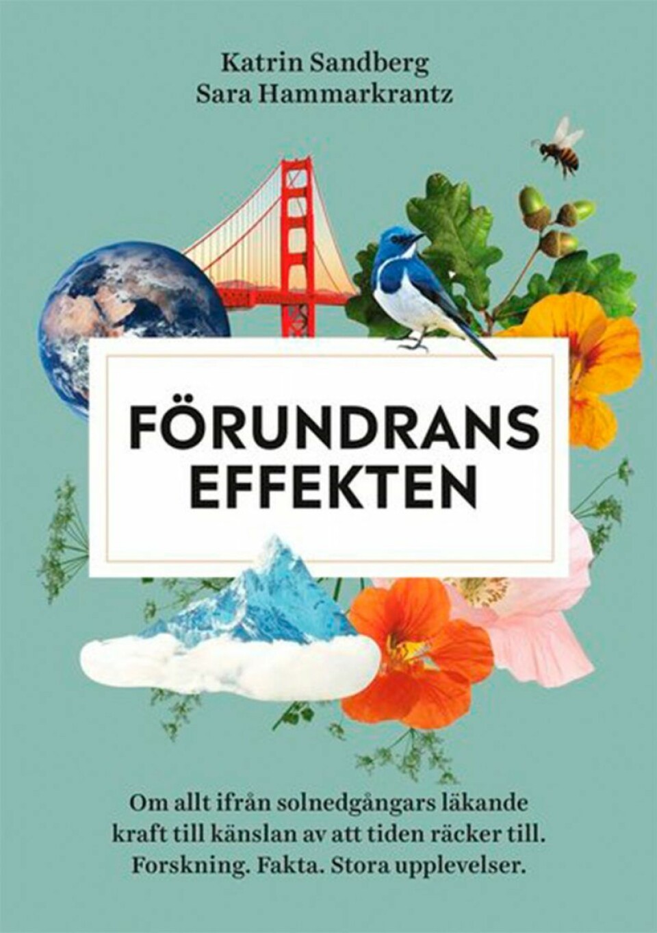 Förundrans effekten lär oss att stanna upp. Förundrans effekten lär oss att stanna upp.