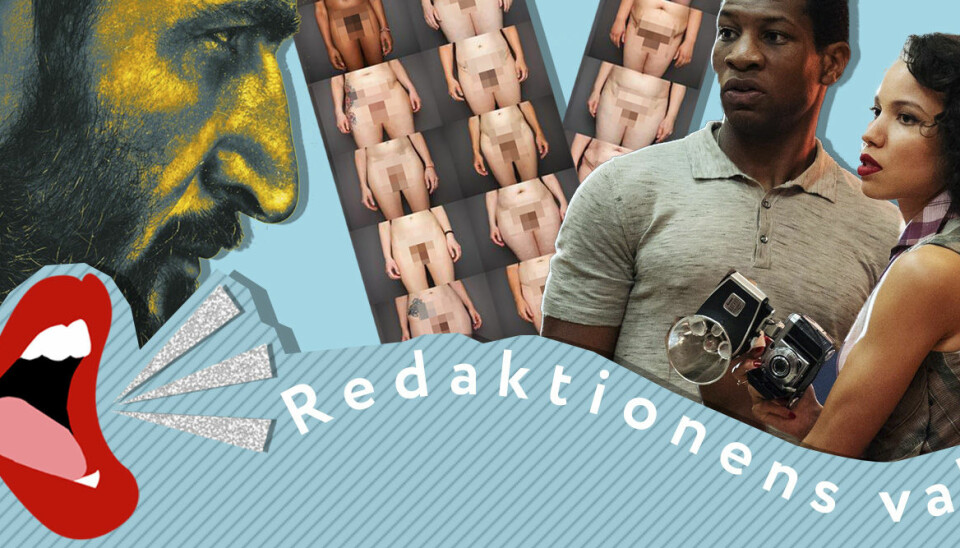 Redaktionens nöjesval: Detta streamar, tittar och lyssnar vi på i september