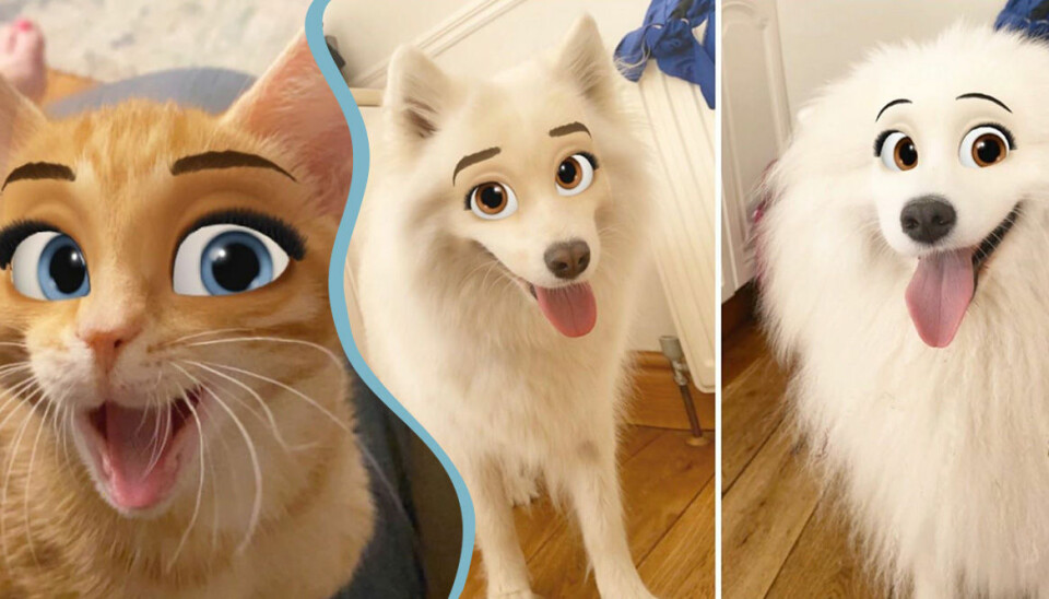 Här är Snapchat-filtret som gör ditt husdjur till en seriefigur