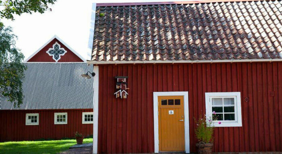 5 svenska vingårdar med det lilla extra