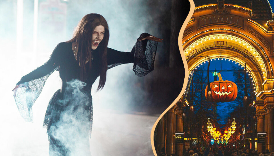Fira Halloween 2020 – 8 tips på ställen med rätta stämningen