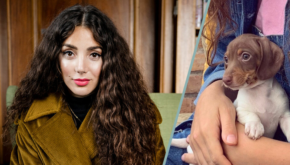 Gina Dirawi kan tvingas omplacera valpen Jannah