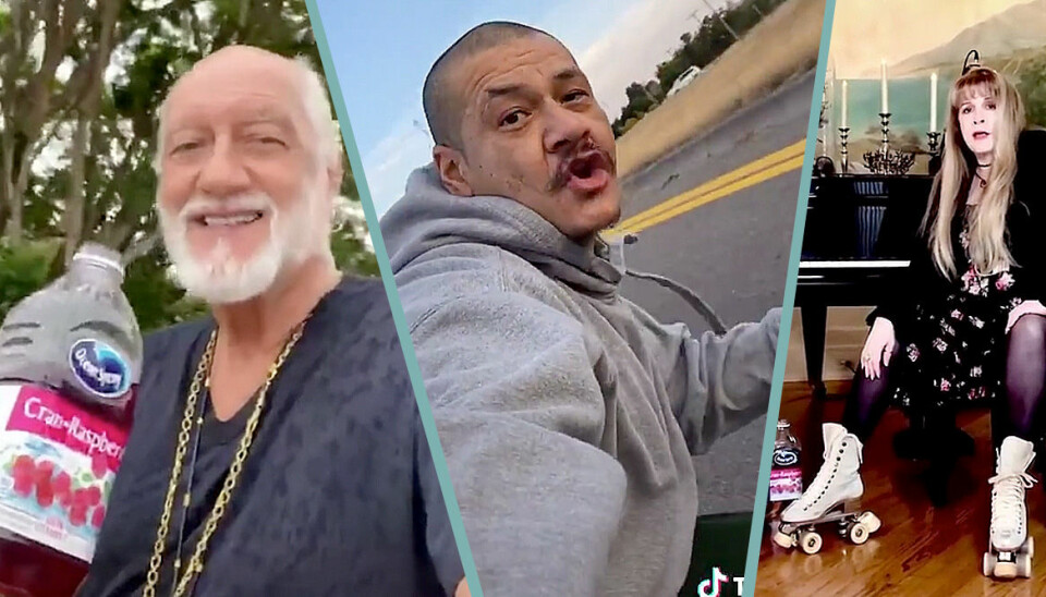 Stevie Nicks och Mick Fleetwoods svar på virala TikTok-videon