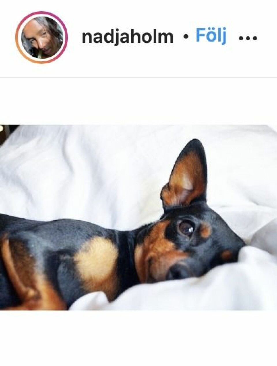 Kändisarnas allra första Instagraminlägg – se bilderna här