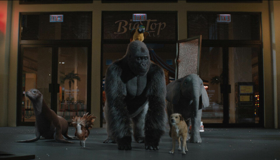 Nya filmer och serier på Disney plus i december 2020