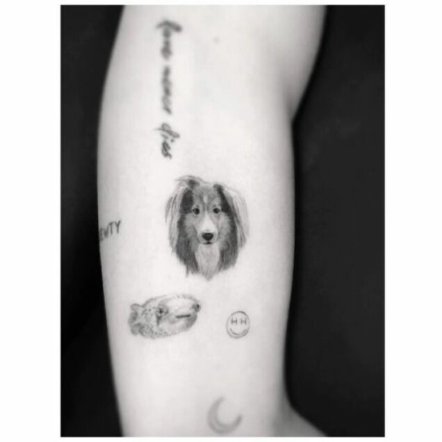 Kändisar som har tatueringar som hyllar deras husdjur