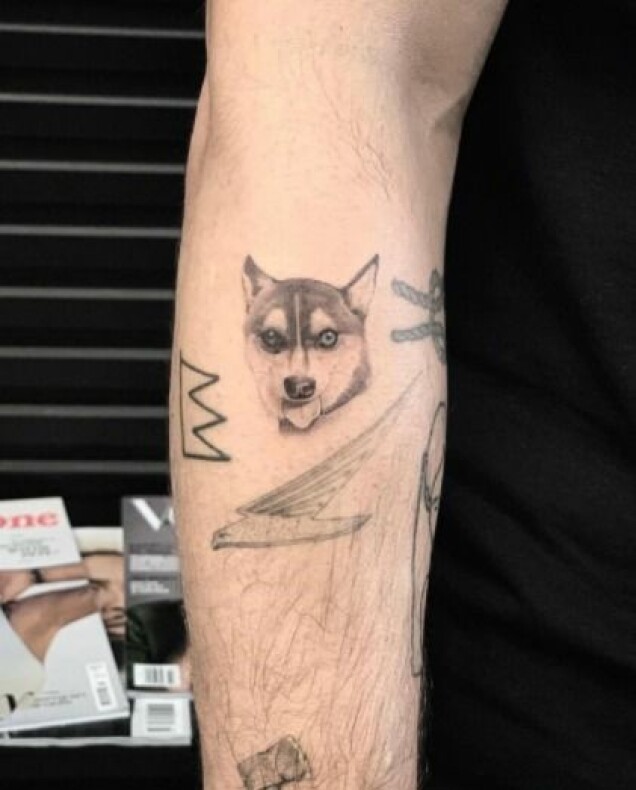 Kändisar som har tatueringar som hyllar deras husdjur