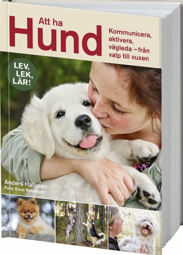 10 bra böcker som nyblivna hundägare inte får missa!