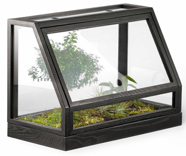 10 små växthus att ha inomhus eller på balkongen