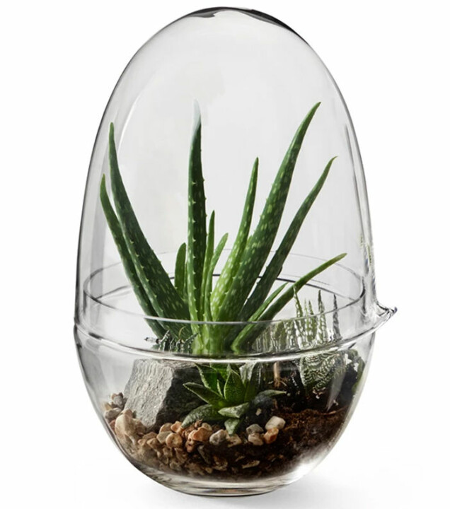 10 små växthus att ha inomhus eller på balkongen