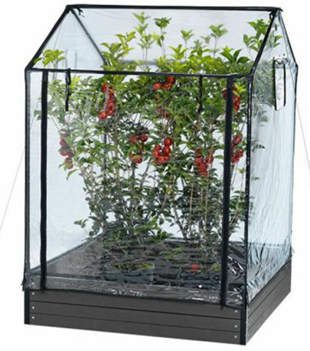 10 små växthus att ha inomhus eller på balkongen