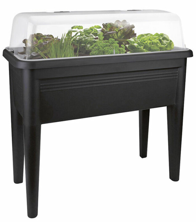 10 små växthus att ha inomhus eller på balkongen