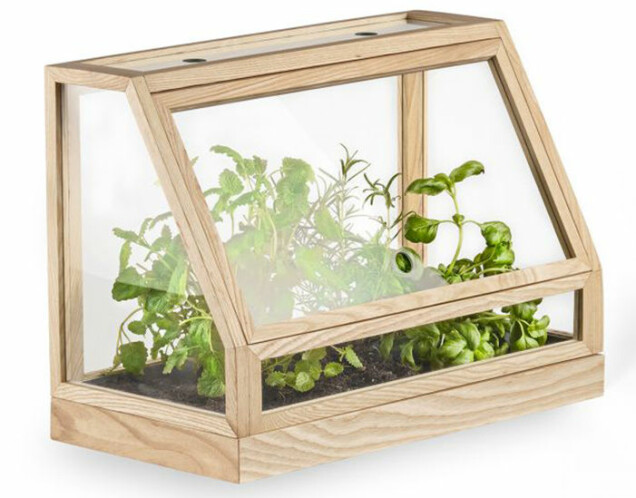 10 små växthus att ha inomhus eller på balkongen