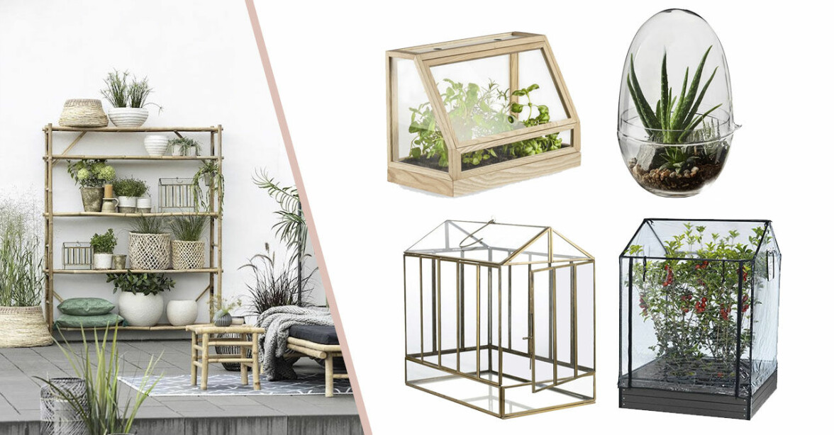 10 små växthus att ha inomhus eller på balkongen