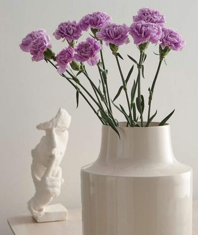 Inred med lila i vår! 12 fina shoppingtips