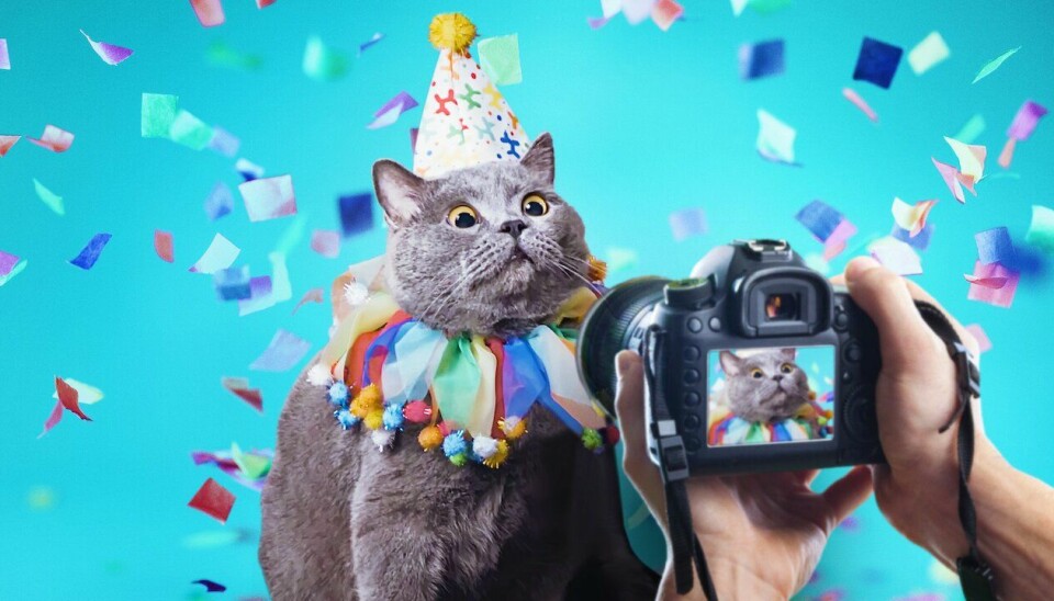 Nya filmer och serier på Netflix i april 2021