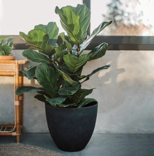 Stora krukor till balkong och uteplats – 17 fina shoppingtips!