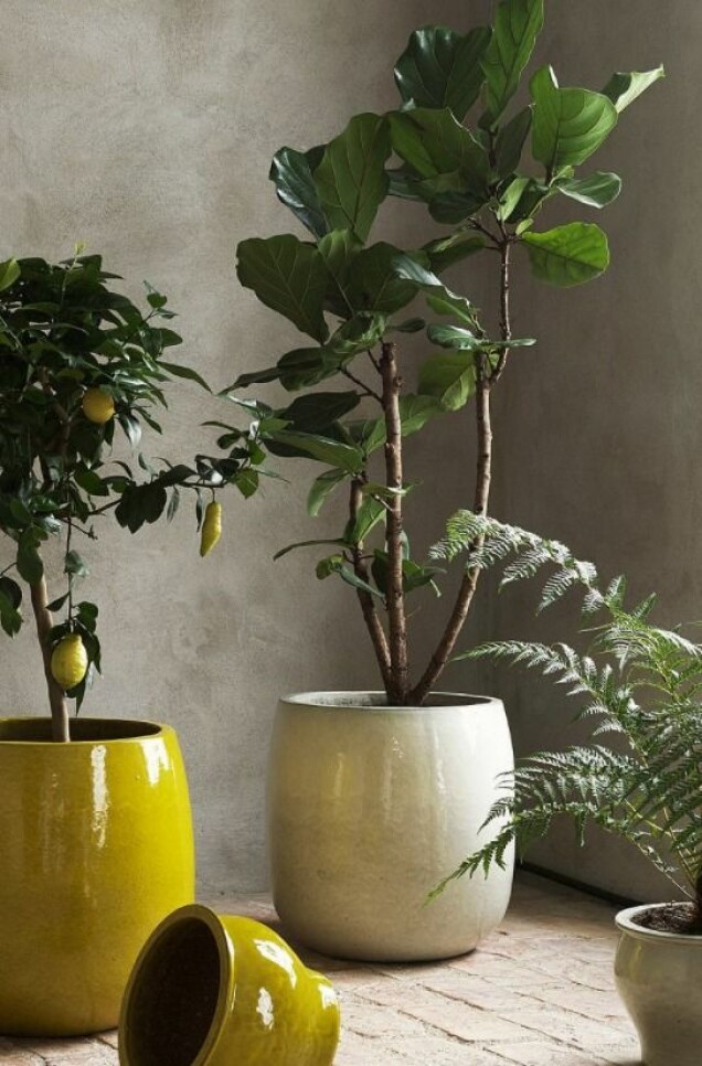 Stora krukor till balkong och uteplats – 17 fina shoppingtips!