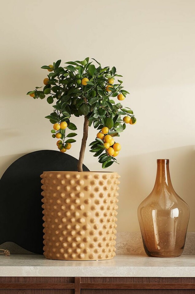 Stora krukor till balkong och uteplats – 17 fina shoppingtips!