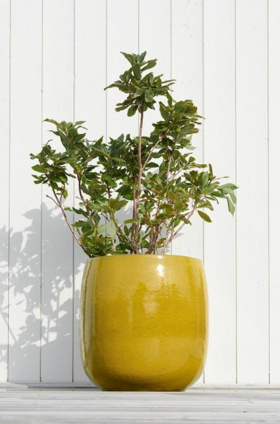 Stora krukor till balkong och uteplats – 17 fina shoppingtips!