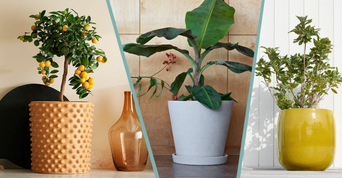 Stora krukor till balkong och uteplats – 17 fina shoppingtips!