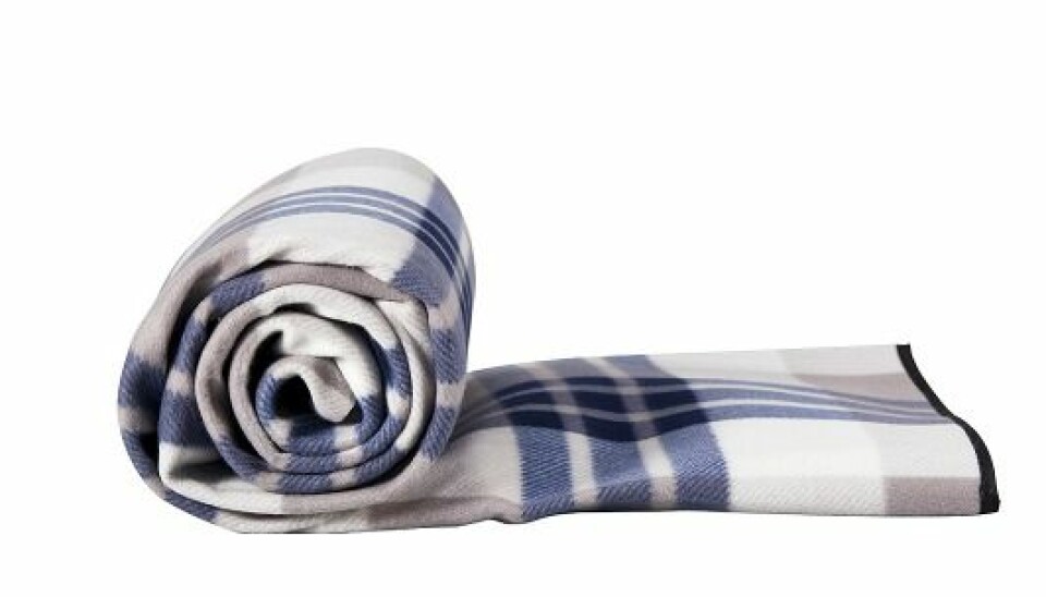 Picknickfilt, korg och fina plastglas – allt du behöver till utflykten