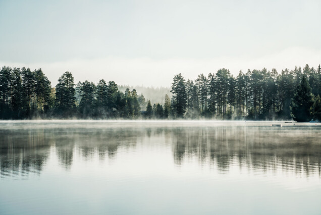 9 spännande rutter för en äventyrlig hemester