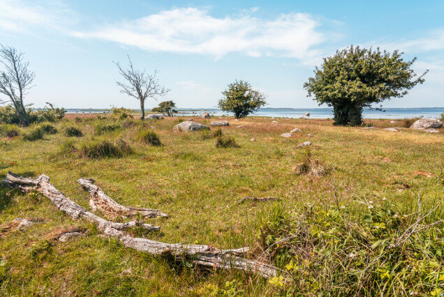 9 spännande rutter för en äventyrlig hemester