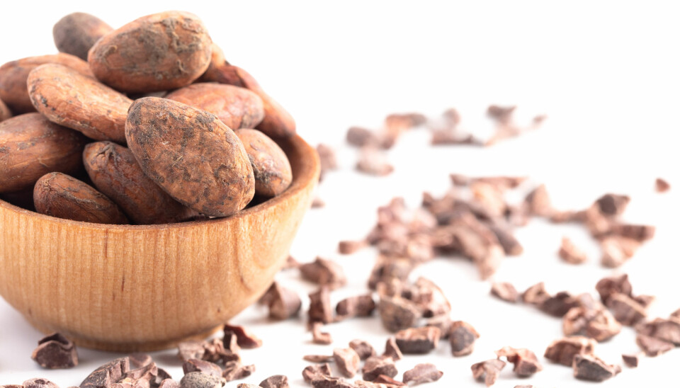 Ny forskning: Därför är det bra att äta choklad till frukost