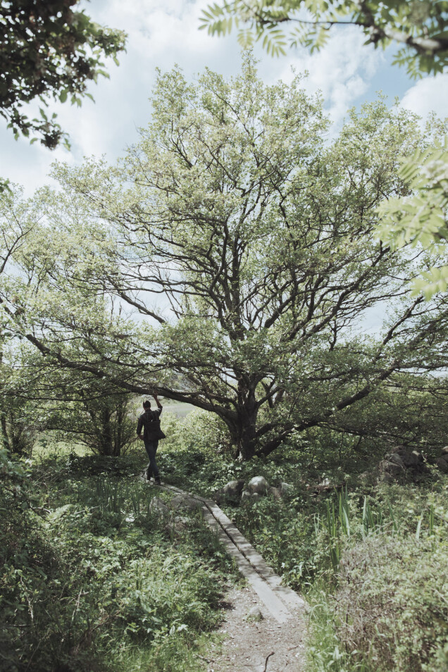 Hösten är perfekt för vandring! Hösten är perfekt för vandring!