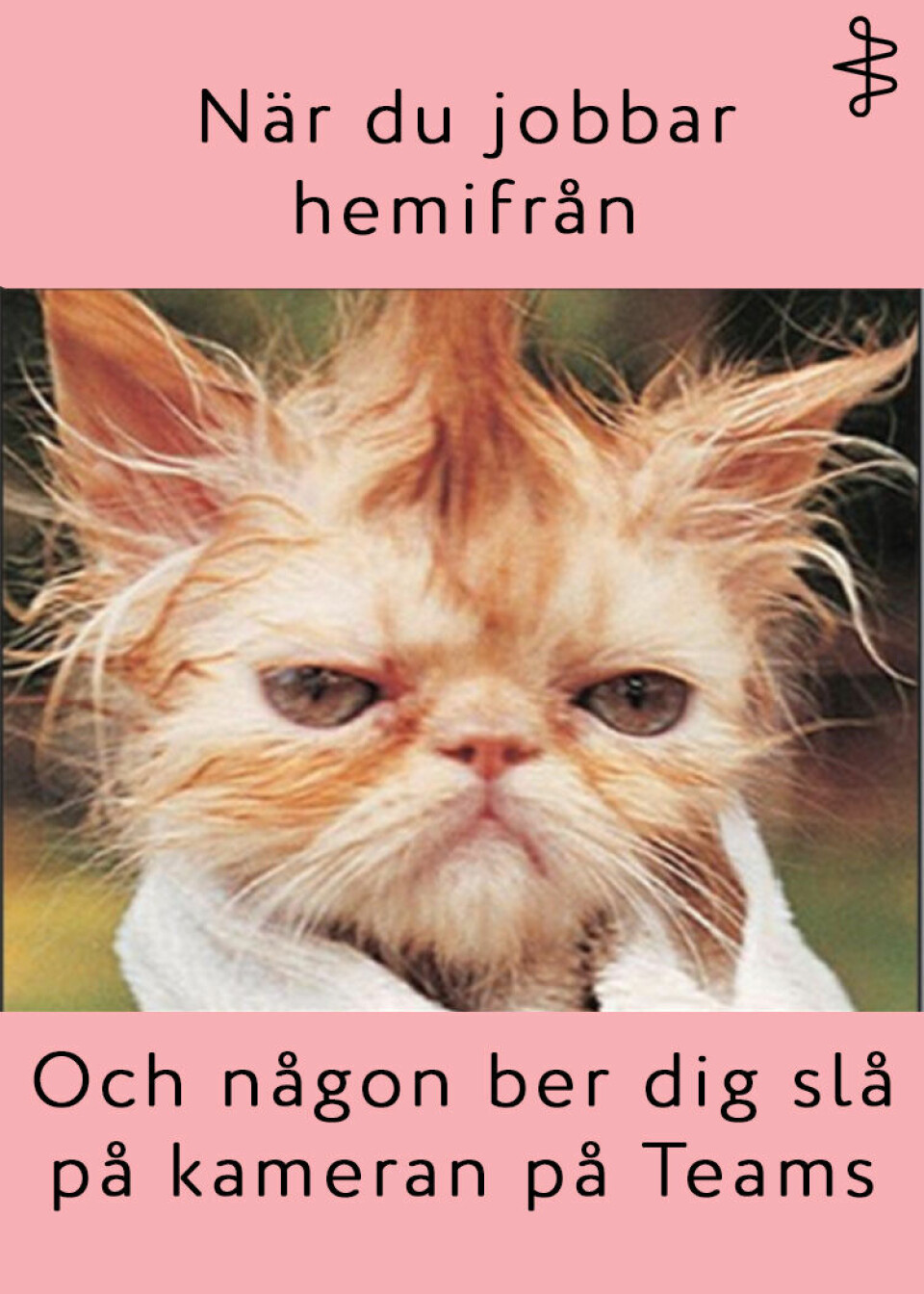 11 förändringar vi (tyvärr) måste acceptera när restriktionerna hävs