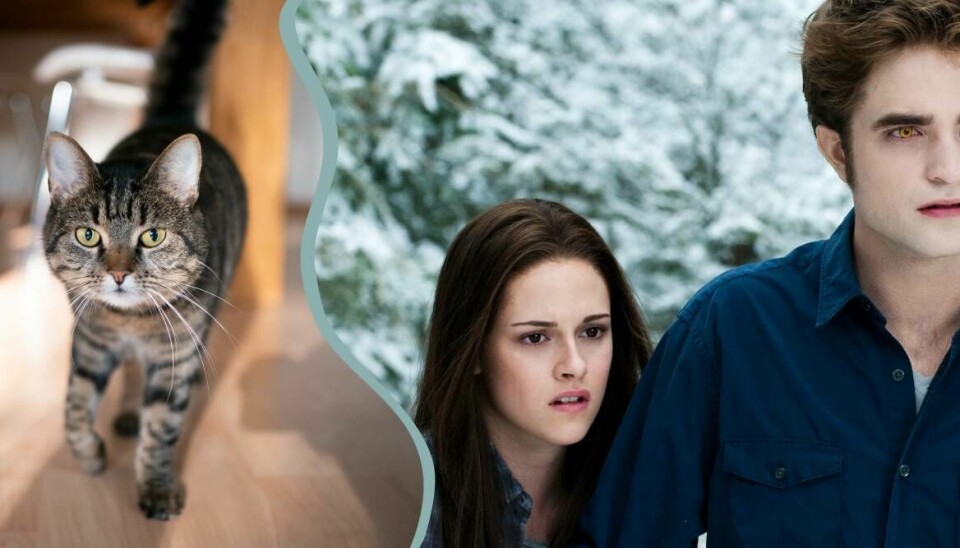 Halloweenkostymer inspirerade av TikTok-trender