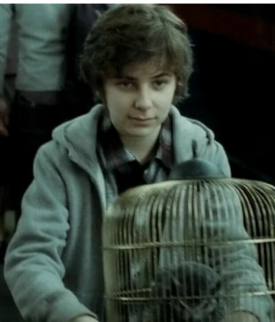 Will Dunn i rollen som James Sirius Potter. Will Dunn i rollen som James Sirius Potter.