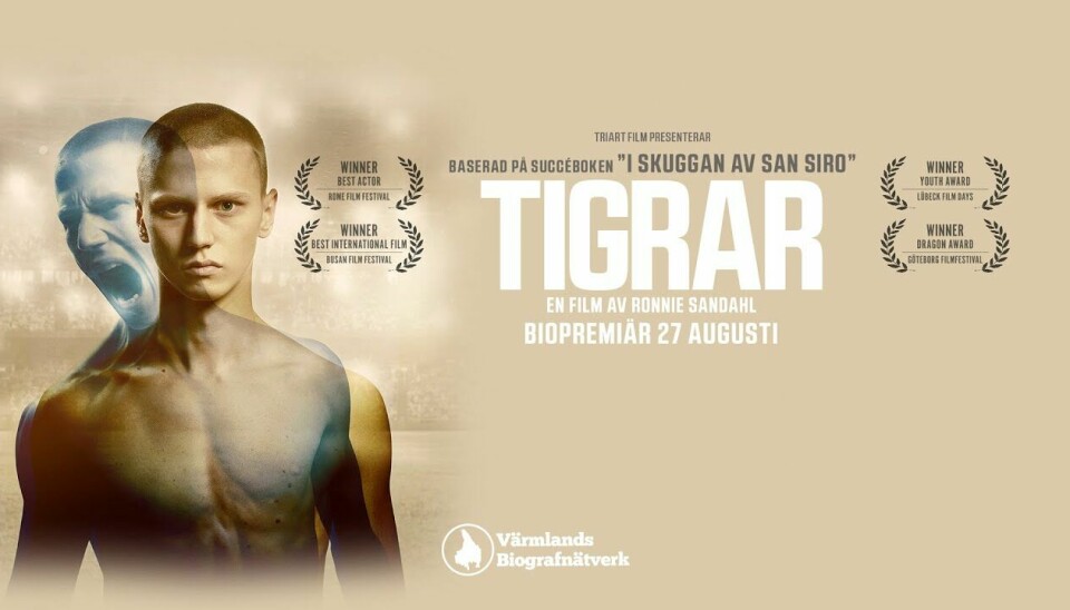 Ronnie Sandahls fotbollsdrama Tigrar får tävla om en Oscar för bästa internationella film. Ronnie Sandahls fotbollsdrama Tigrar får tävla om en Oscar för bästa internationella film.