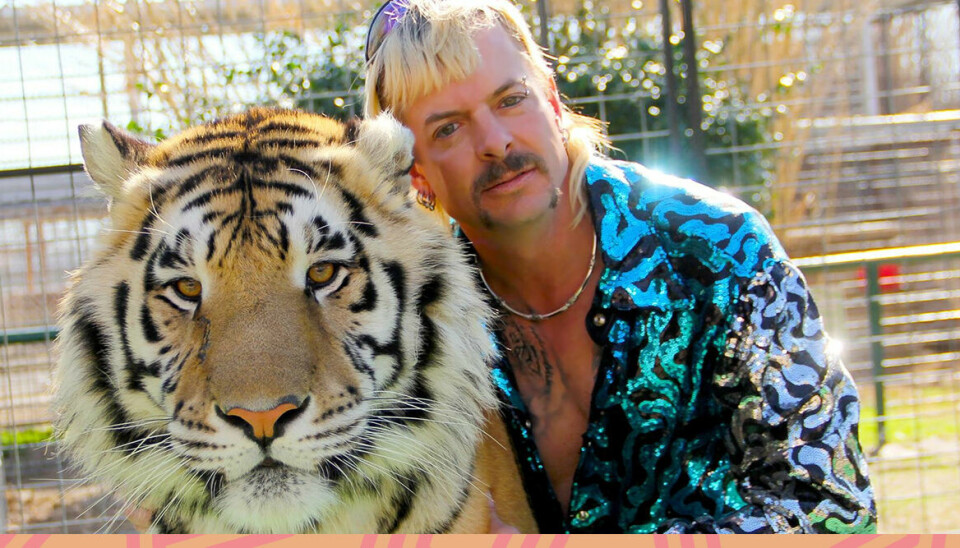 Första trailern till Tiger king 2 – då släpps andra säsongen
