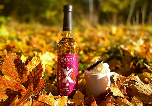 Drinktips med Xanté Pumpkin Spice & Pear