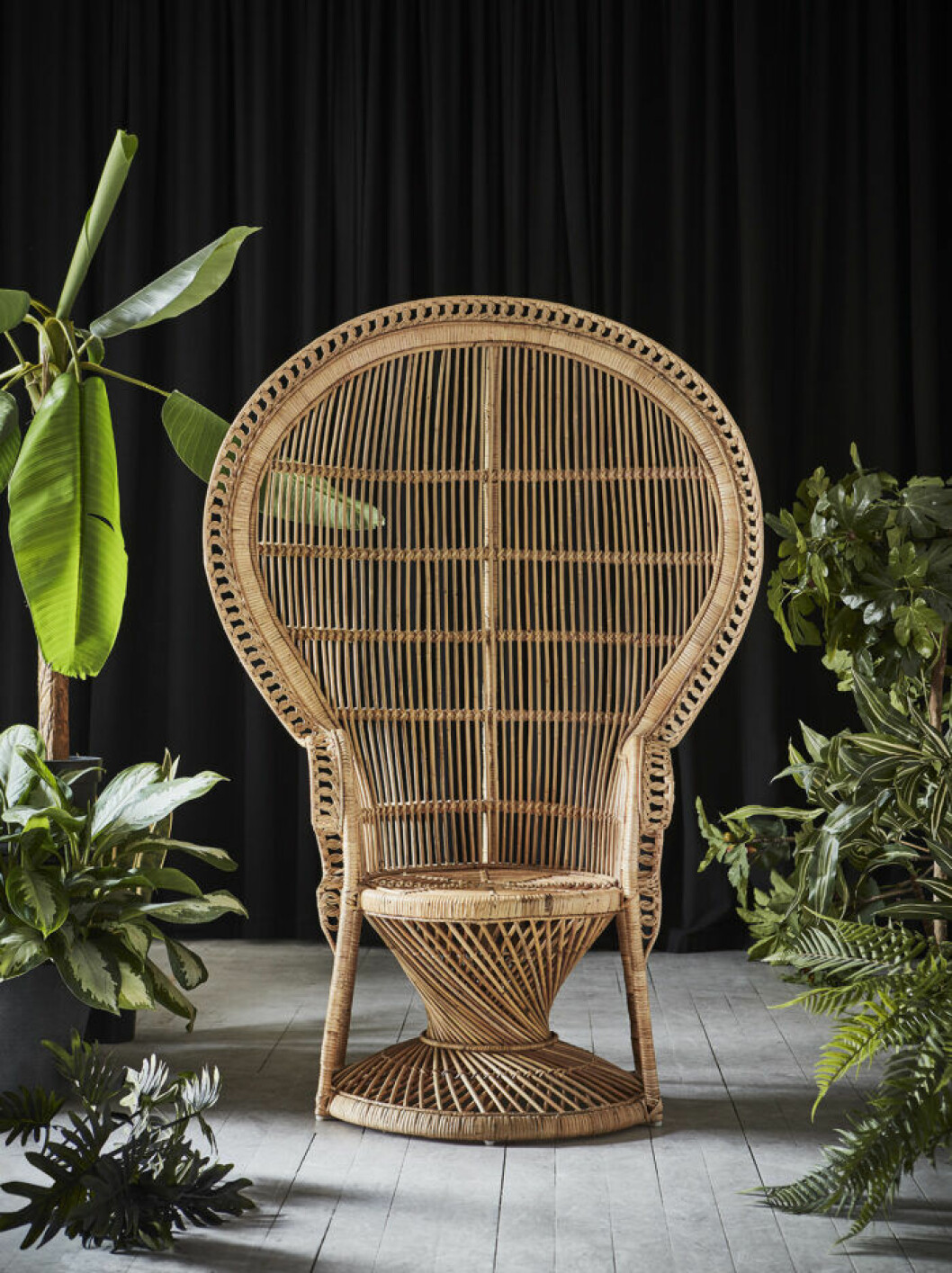 Trendig påfågelfåtölj (peacock chair) från Jotex nya rottingkollektion