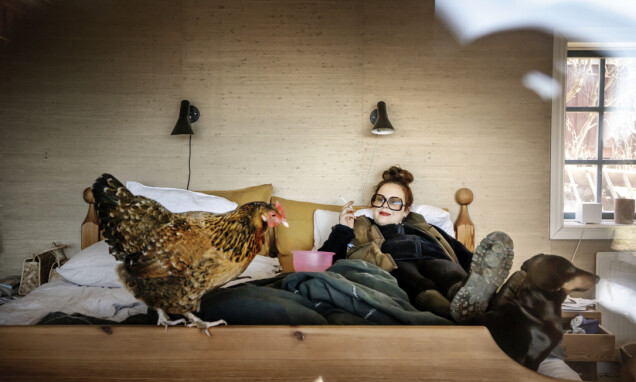 Under pandemin flyttade Hanna Hellquist hem till Grums, köpte en kåk och huserade runt i fleecekläder tillsammans med sina djur som fick härja fritt i huset. Under pandemin flyttade Hanna Hellquist hem till Grums, köpte en kåk och huserade runt i fleecekläder tillsammans med sina djur som fick härja fritt i huset.
