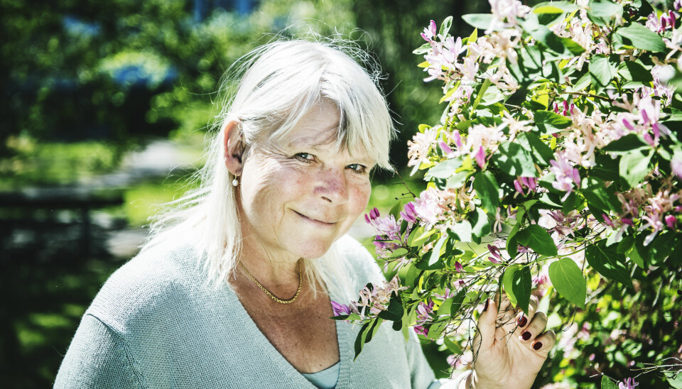 Kändisar som gått bort under 2021