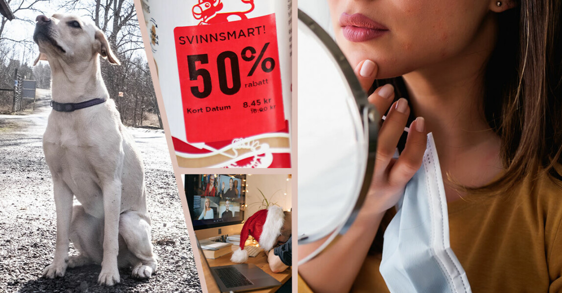 2021 nyordslista – här är alla nya ord i år