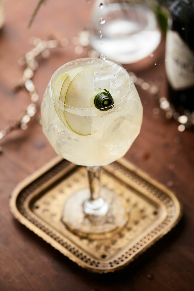 Enkla och goda gindrinkar till nyårsfesten