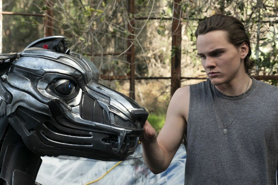 En bild ur filmen A-X-L, som har premiär på Viaplay den 3 september.