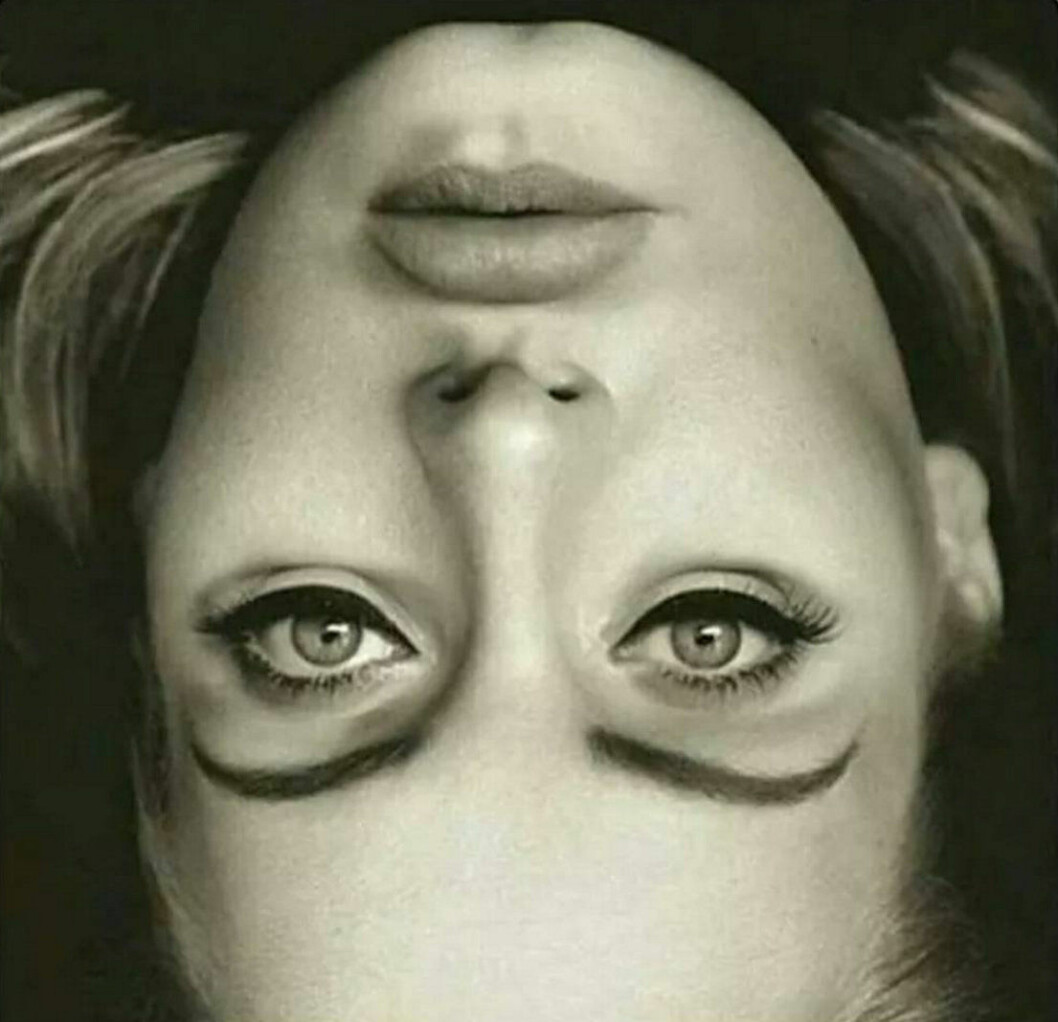 adele optisk illusion