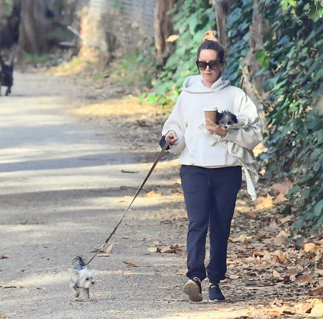 Ashley Tisdale med hundarna Ziggy och Sushi Sue