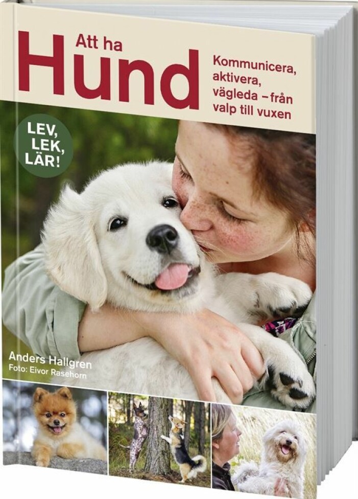 Hallgren. A Att ha hund