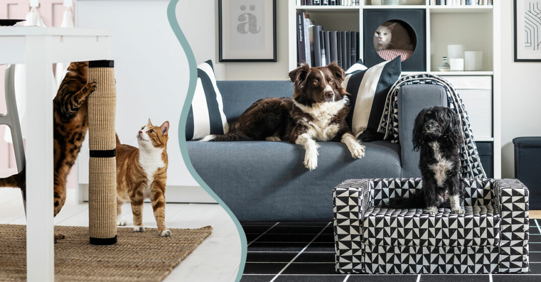 Ikeas kollektion för hundar och katter Lurvig