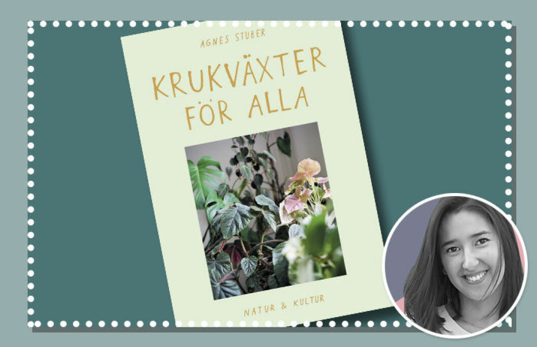 Redaktionen på Baaam väljer nöjesnyheter maj 2020 – Annie Li Eriksson