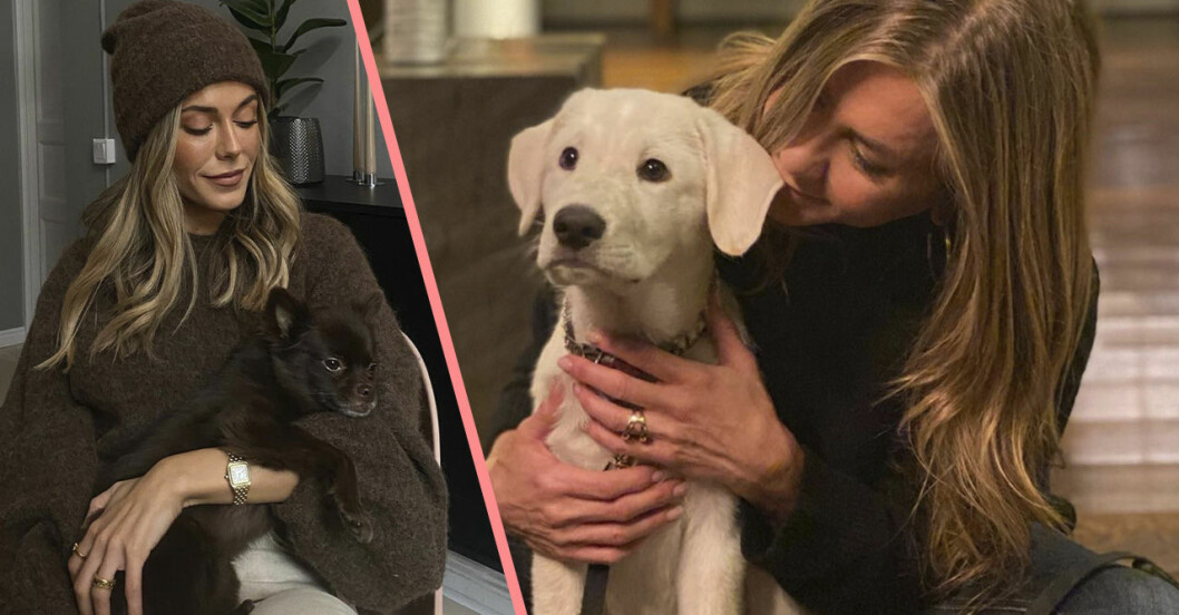 Bianca Ingrosso och Jennifer Aniston med husdjur